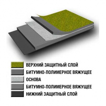 СВ-00005966_1